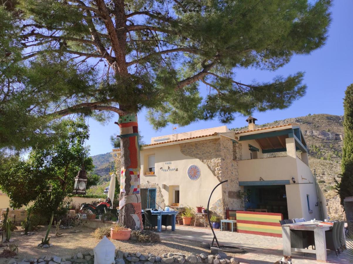 Casa Pura Vida * Relleu